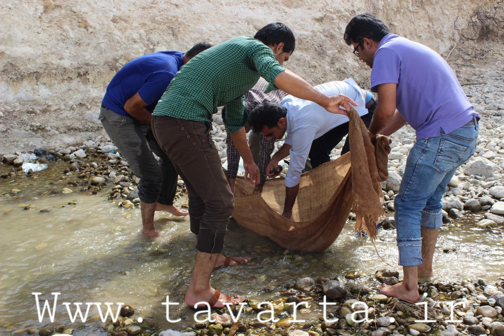 IMG 1987-1024x683