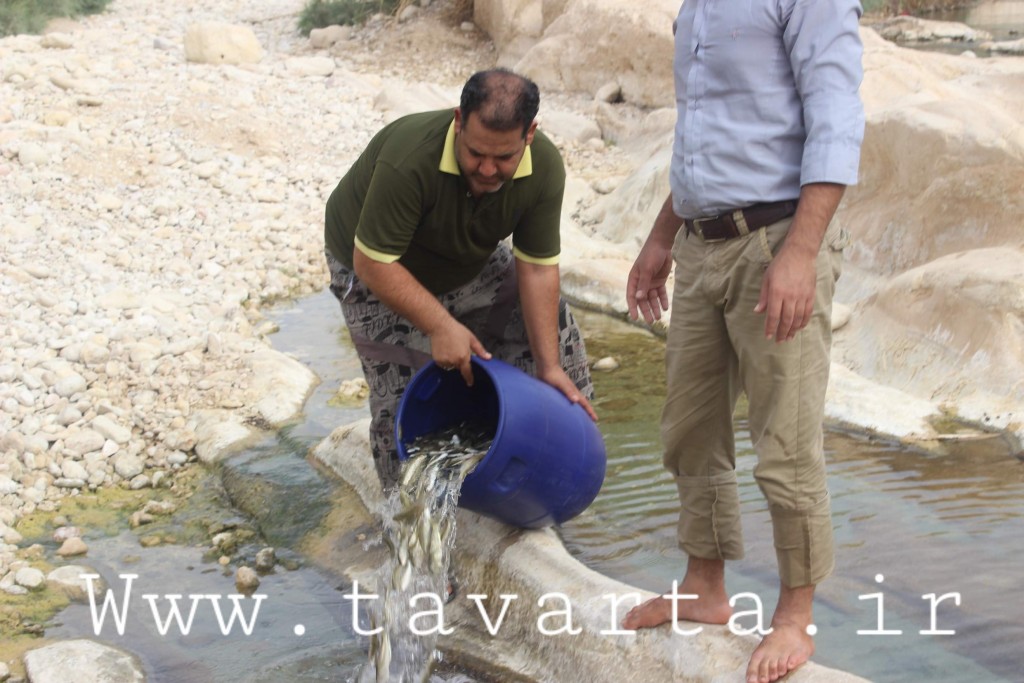 IMG 1990-1024x683
