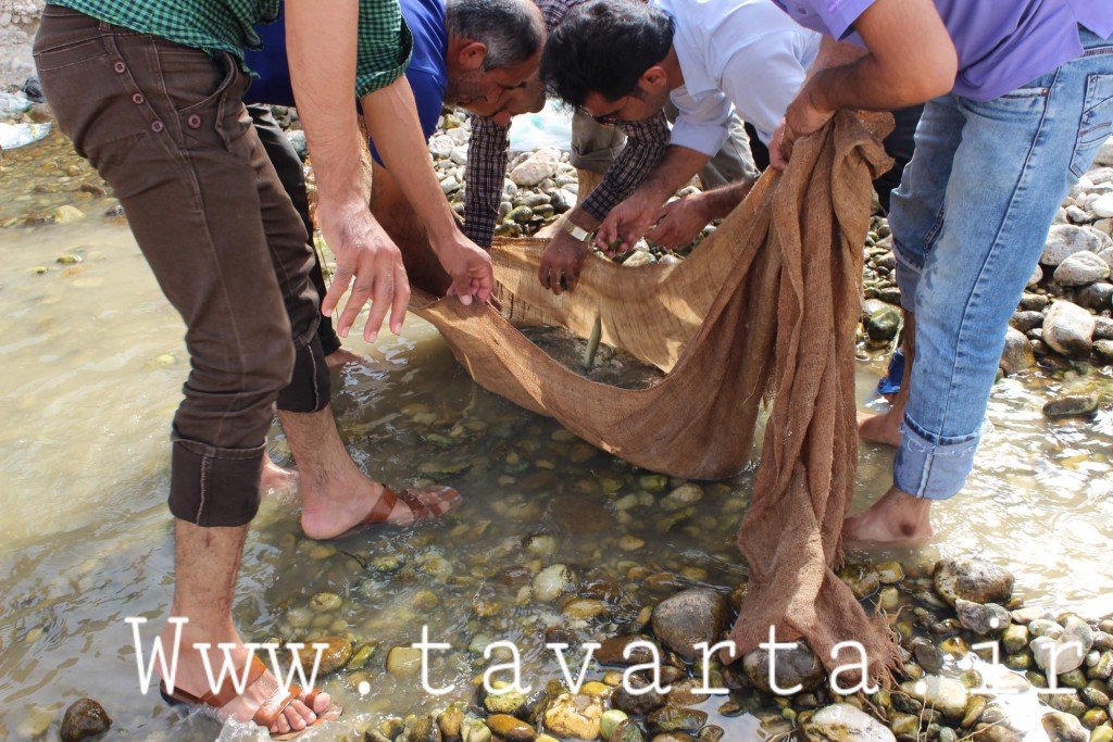 IMG 1994-1024x683
